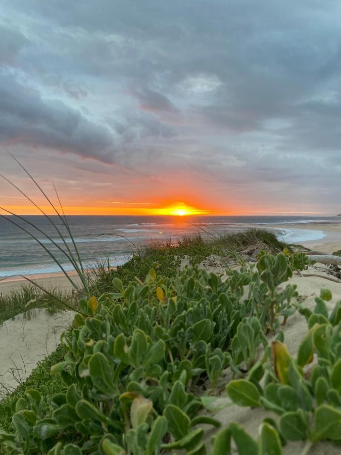 Soutelande Country Stay - Close To 1#Beach In Pe Puerto Elizabeth Exterior foto