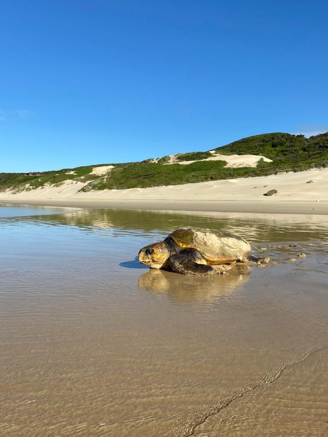 Soutelande Country Stay - Close To 1#Beach In Pe Puerto Elizabeth Exterior foto