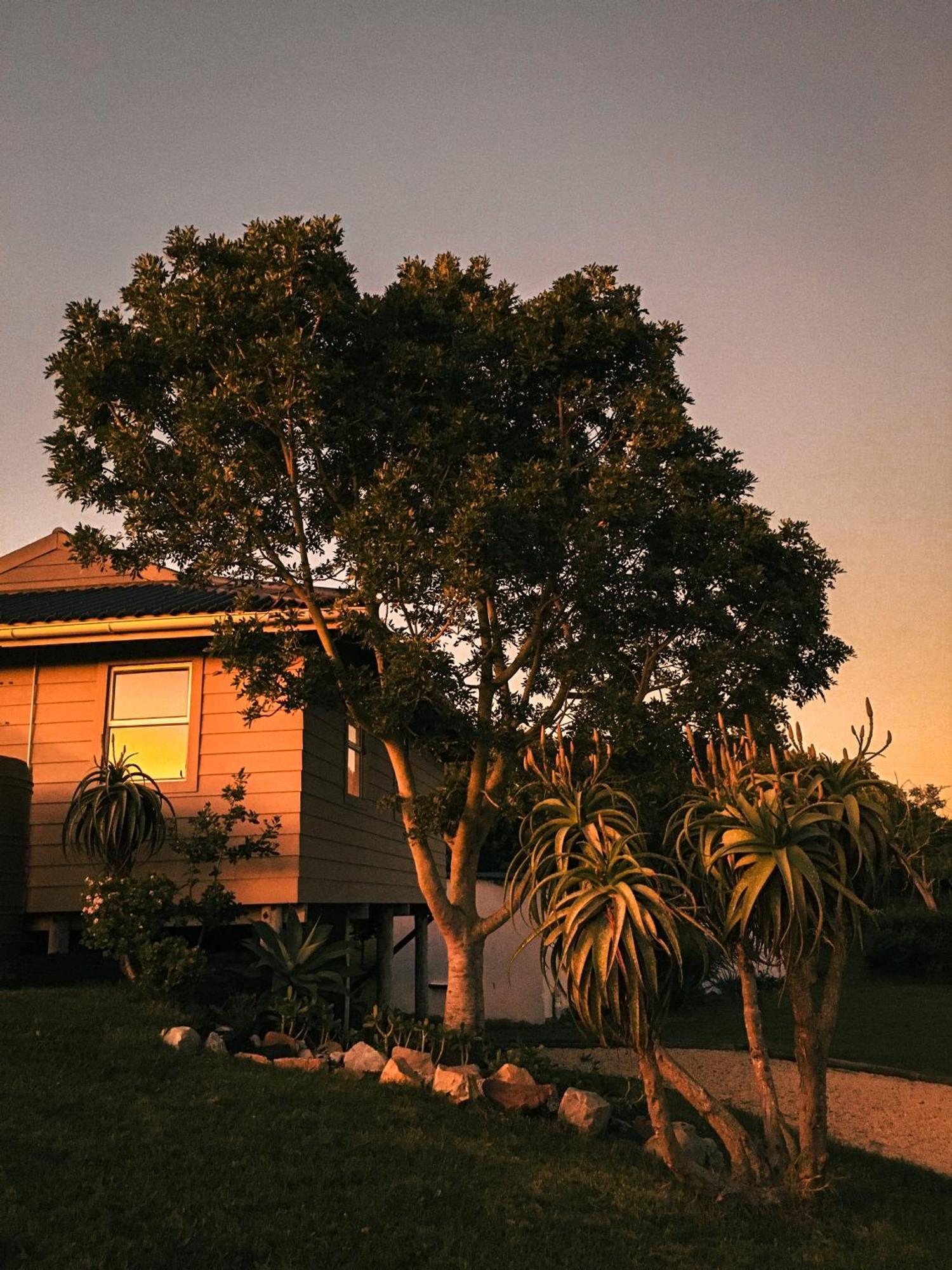 Soutelande Country Stay - Close To 1#Beach In Pe Puerto Elizabeth Exterior foto